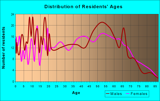 Age and Sex of Residents in zip code 24243