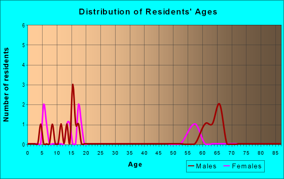 Age and Sex of Residents in zip code 24601