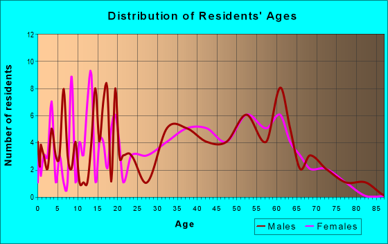 Age and Sex of Residents in zip code 24879