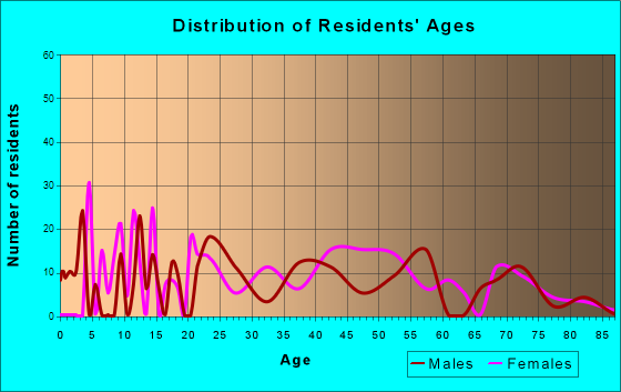 Age and Sex of Residents in zip code 25847