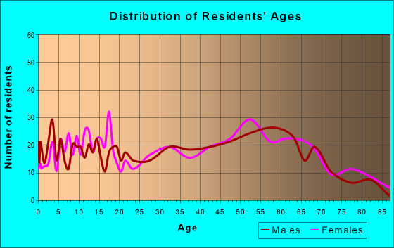 Age and Sex of Residents in zip code 26033