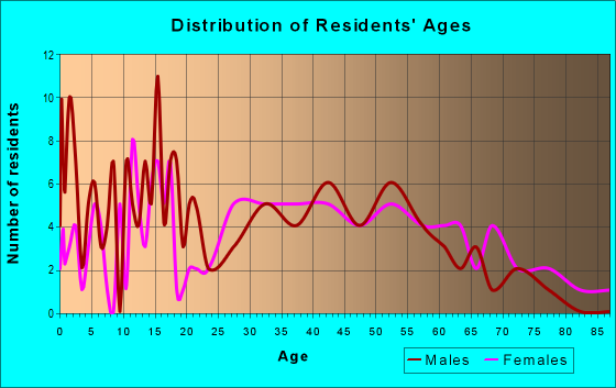 Age and Sex of Residents in zip code 26451
