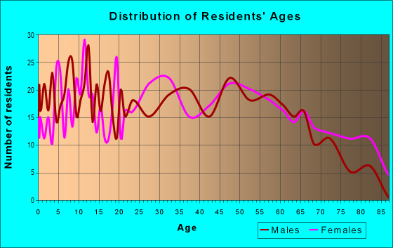 Age and Sex of Residents in zip code 28088