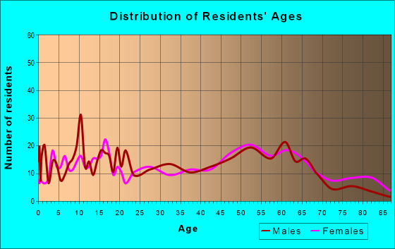 Age and Sex of Residents in zip code 28091