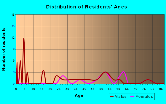 Age and Sex of Residents in zip code 28755