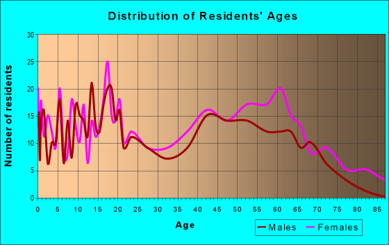 Age and Sex of Residents in zip code 29525