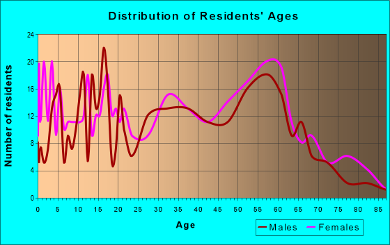 Age and Sex of Residents in zip code 29593
