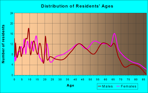 Age and Sex of Residents in zip code 30413
