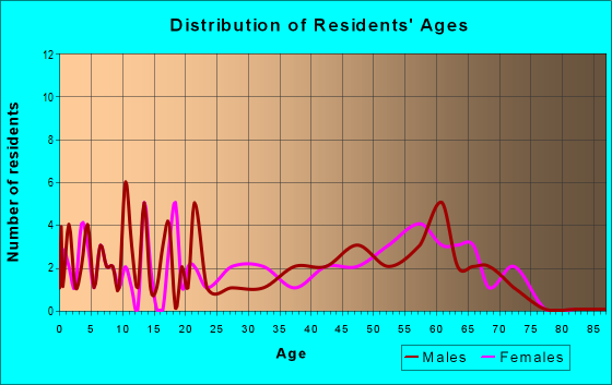 Age and Sex of Residents in zip code 38453