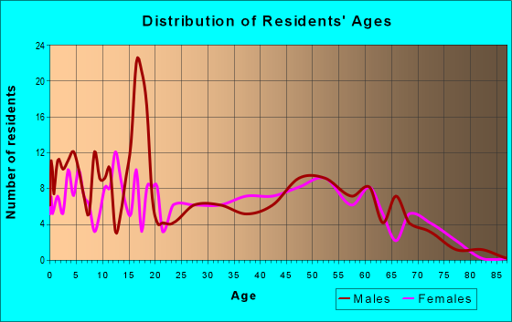 Age and Sex of Residents in zip code 42333