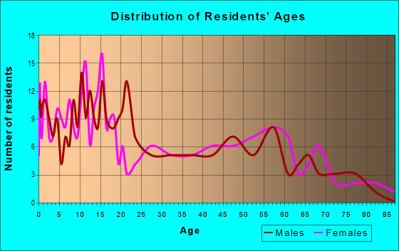 Age and Sex of Residents in zip code 47859
