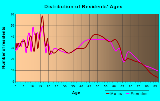 Age and Sex of Residents in zip code 48453