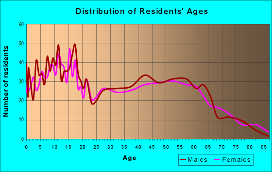Age and Sex of Residents in zip code 49336