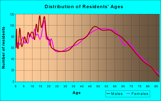 Age and Sex of Residents in zip code 49337