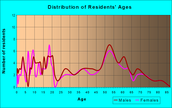 Age and Sex of Residents in zip code 51333