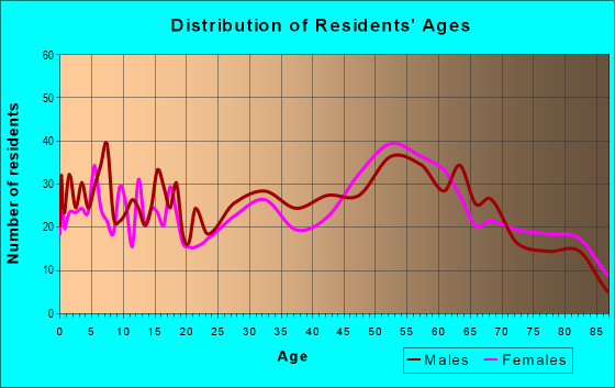 Age and Sex of Residents in zip code 51351