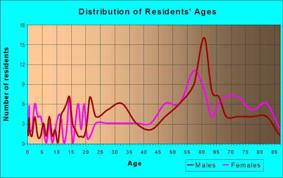 Age and Sex of Residents in zip code 51355
