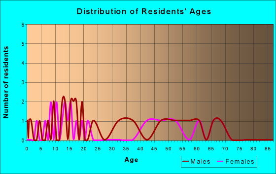 Age and Sex of Residents in zip code 51363