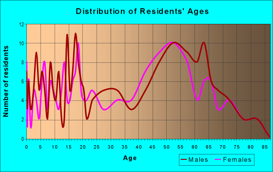 Age and Sex of Residents in zip code 55919