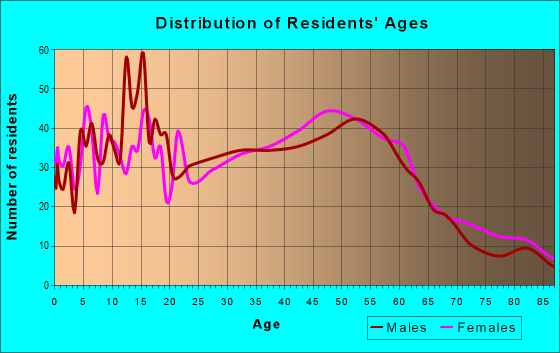 Age and Sex of Residents in zip code 60163
