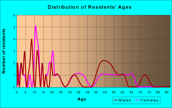 Age and Sex of Residents in zip code 60437