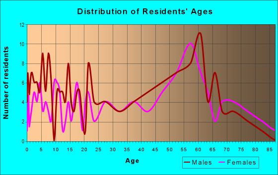 Age and Sex of Residents in zip code 61919