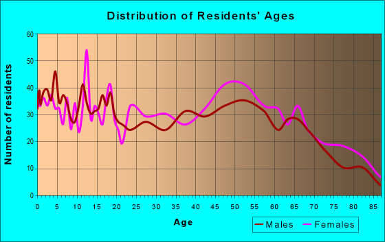 Age and Sex of Residents in zip code 63873