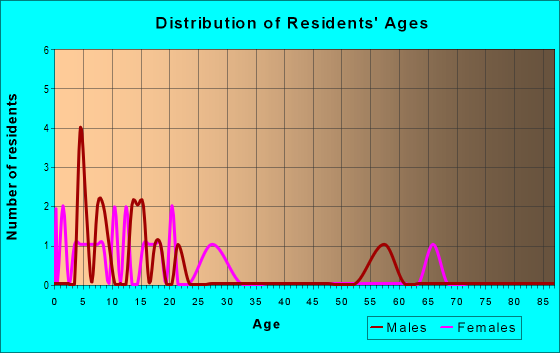 Age and Sex of Residents in zip code 77867