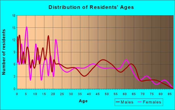 Age and Sex of Residents in zip code 78067