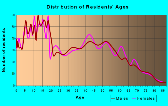 Age and Sex of Residents in zip code 78069