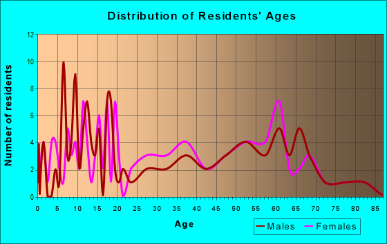 Age and Sex of Residents in zip code 81077