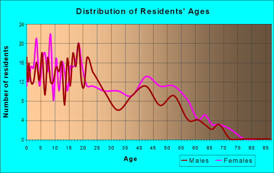Age and Sex of Residents in zip code 81334