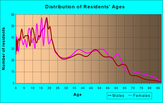 Age and Sex of Residents in zip code 87311