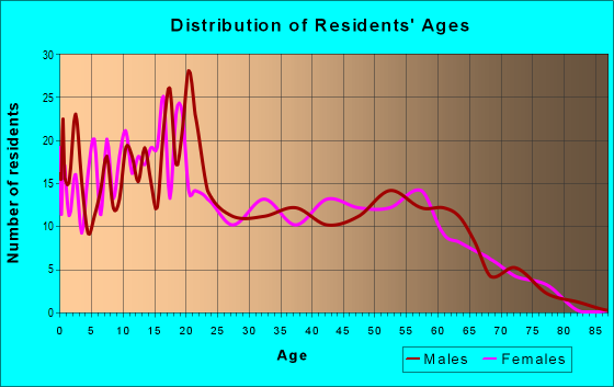 Age and Sex of Residents in zip code 87317