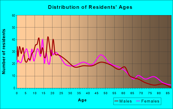 Age and Sex of Residents in zip code 87375