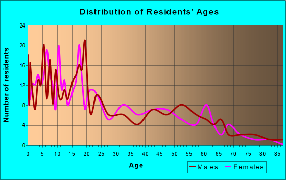 Age and Sex of Residents in zip code 87941