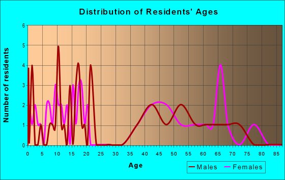 Age and Sex of Residents in zip code 88120