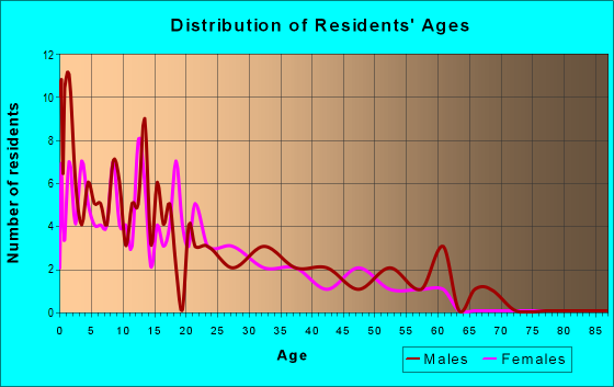 Age and Sex of Residents in zip code 99585