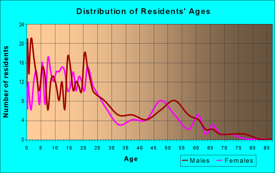 Age and Sex of Residents in zip code 99604
