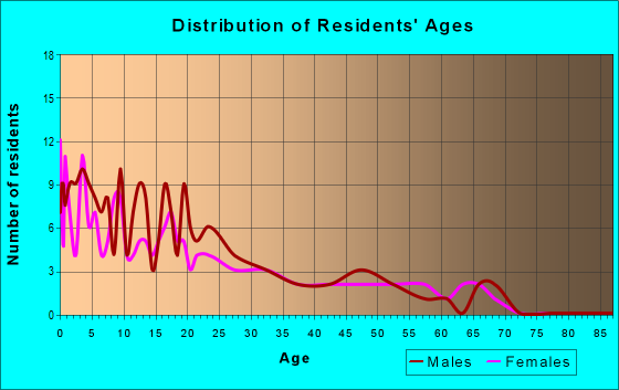 Age and Sex of Residents in zip code 99609