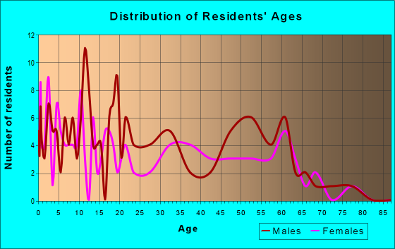 Age and Sex of Residents in zip code 99740