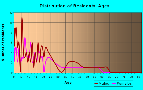 Age and Sex of Residents in zip code 99753