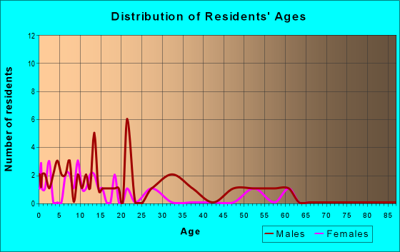 Age and Sex of Residents in zip code 99781