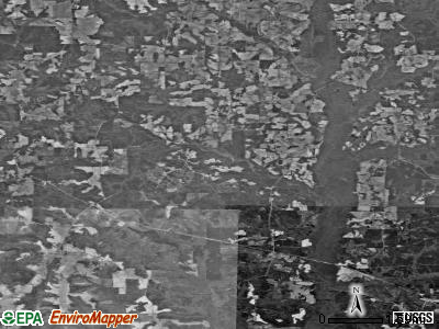 Zip code 36317 satellite photo by USGS