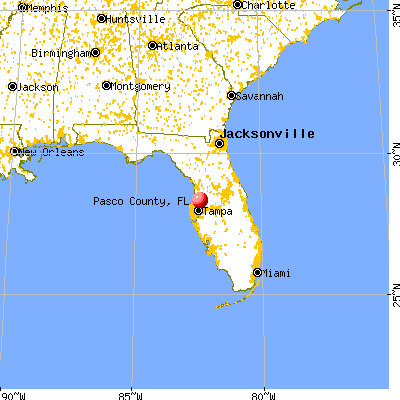 Pasco County, FL map from a distance