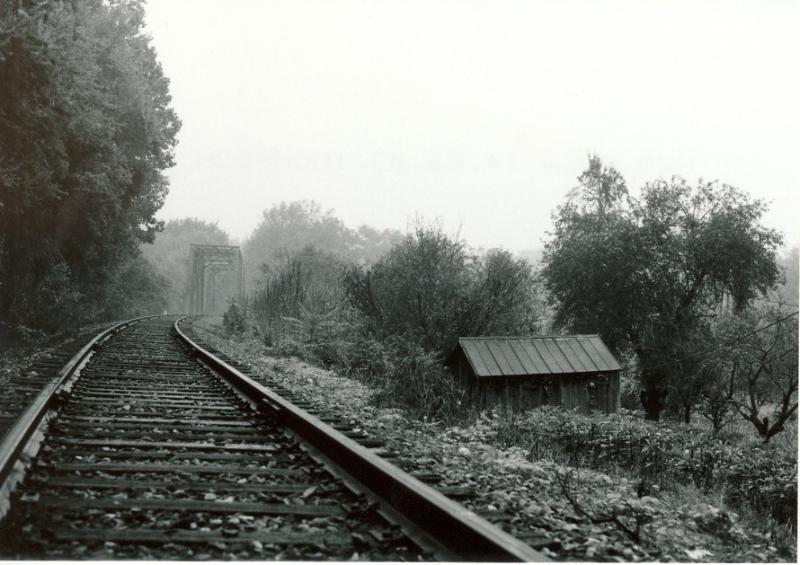 Knoxville, TN: tracks near co-op road just south of Knoxville near hwy 33