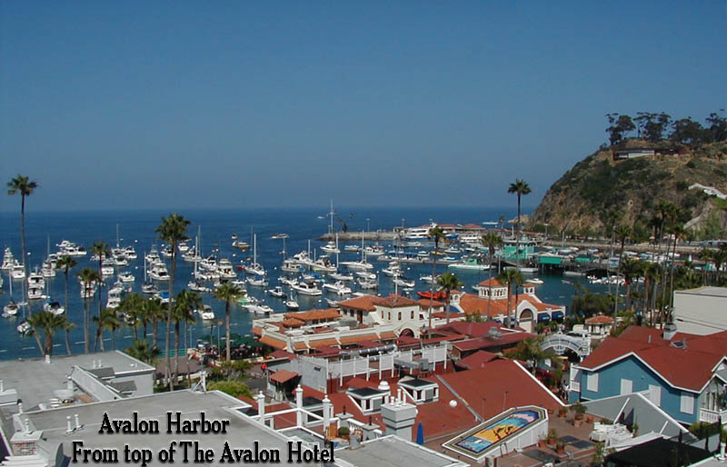 Avalon, CA: Photo of Avalon Harbor, the Green Pier & Ferry docks. Catalina Island