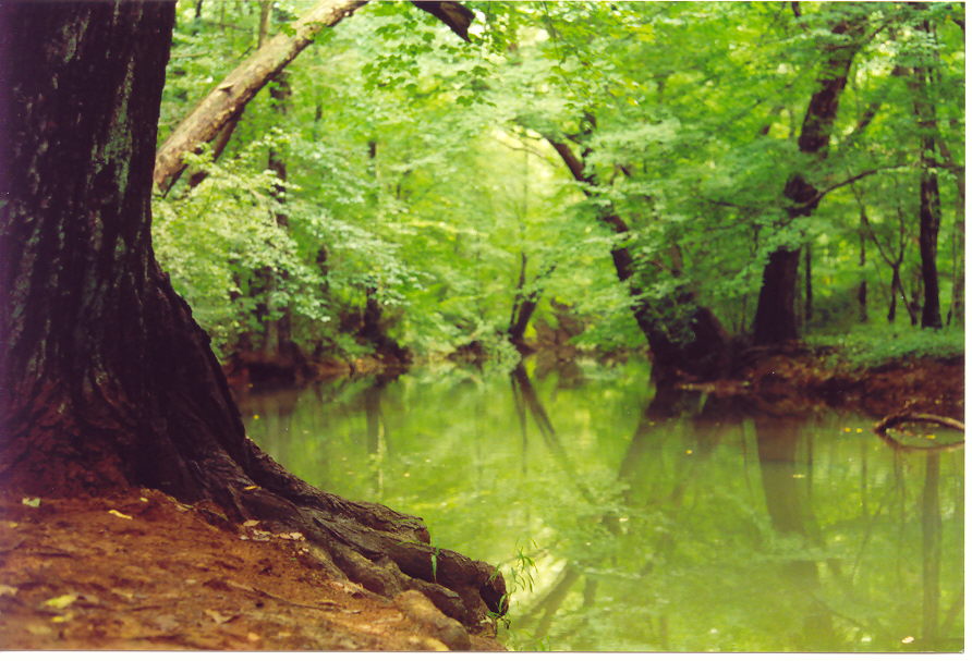 Old Bridge, NJ Water on West Graystone Ave. Summer 2001 photo