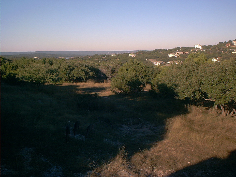 Briarcliff, TX: View of the hills around Lake Travis from Briarcliff, Texas