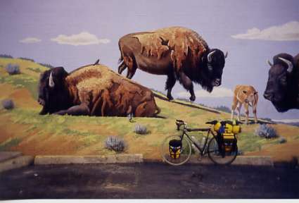Lander, WY: Bison artwork on side of building